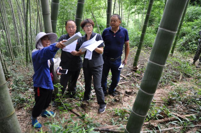 霍山法院实地勘察 (1).JPG